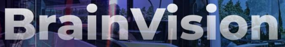 bvlogo.png
